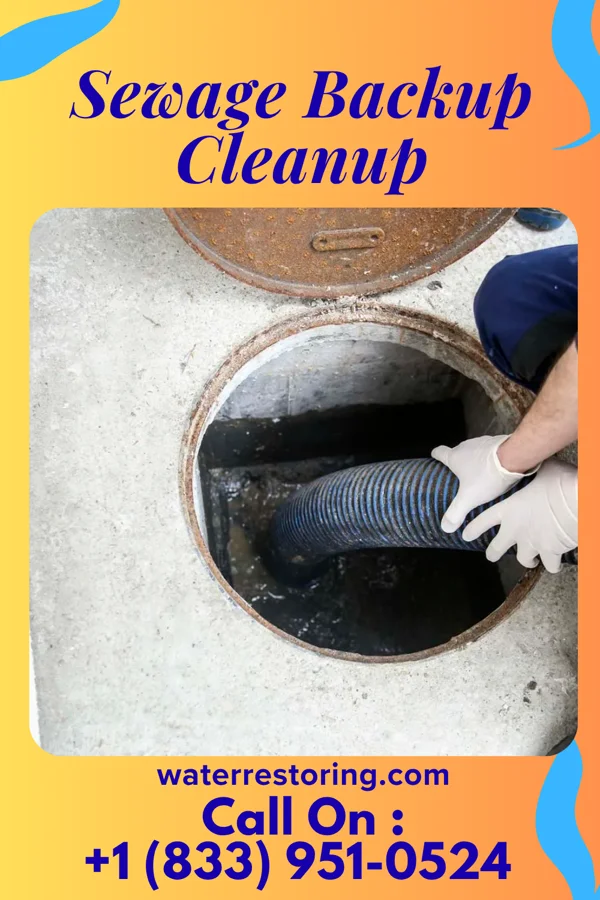 Sewage Backup Cleanup in Evarts, KY