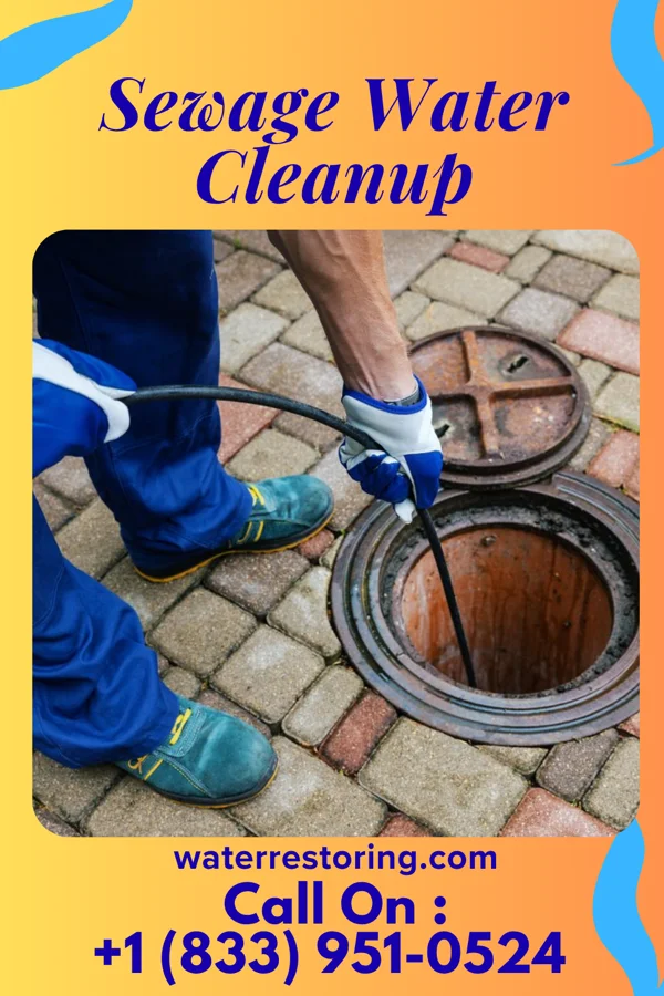 Sewage Water Cleanup in Evarts, KY